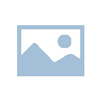 新中文教学大纲（中文版）下载